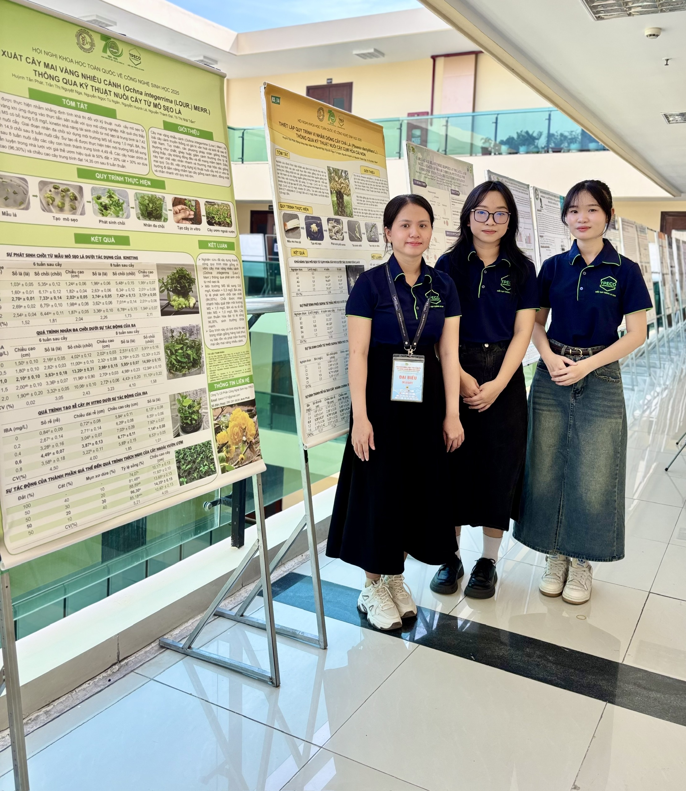 Anh dai dien tin tuc