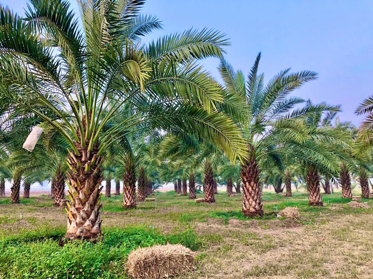 Anh dai dien tin tuc